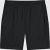 DRY-EX-shorts voor heren (20 cm)