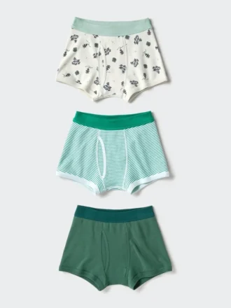 Slips voor kinderen | 3 stuks | Dinosaurus